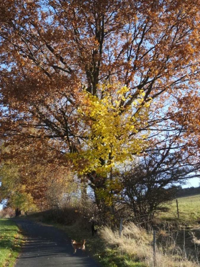 Im Erzgebirge Wandern, Fahrrad Fahren Oder Entspannen Ehrenfriedersdorf Экстерьер фото
