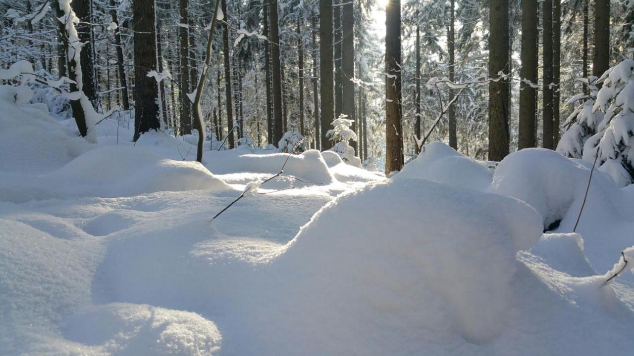 Im Erzgebirge Wandern, Fahrrad Fahren Oder Entspannen Ehrenfriedersdorf Экстерьер фото